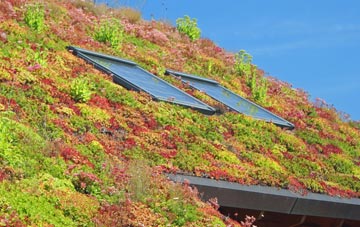 Harmby living roof systems