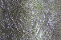 Harmby fibreglass roof work